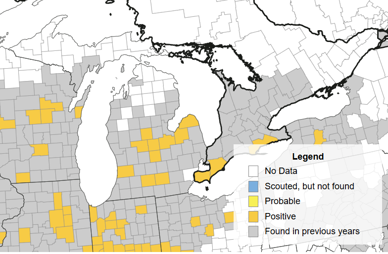The Crop Protection Network&rsquo;s Tar Spot Map showing Michigan counties with confirmed tar spot as of Aug. 13. Counties in gold have had tar spot confirmed in 2026.